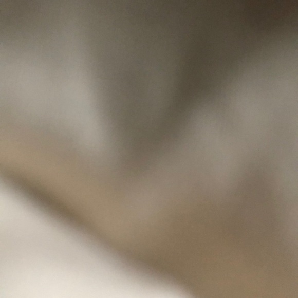 Meet your Posher, Taylor - Picture 1 of 1